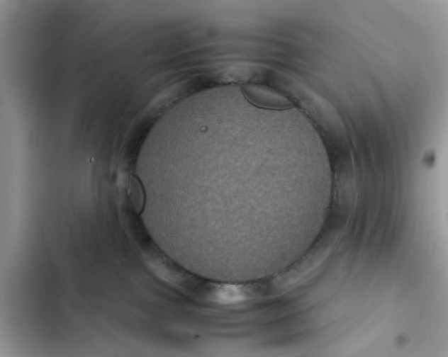 X0000102340091200808151738