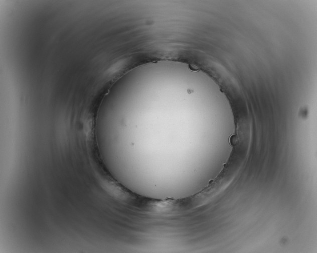 X0000102340092200808151738