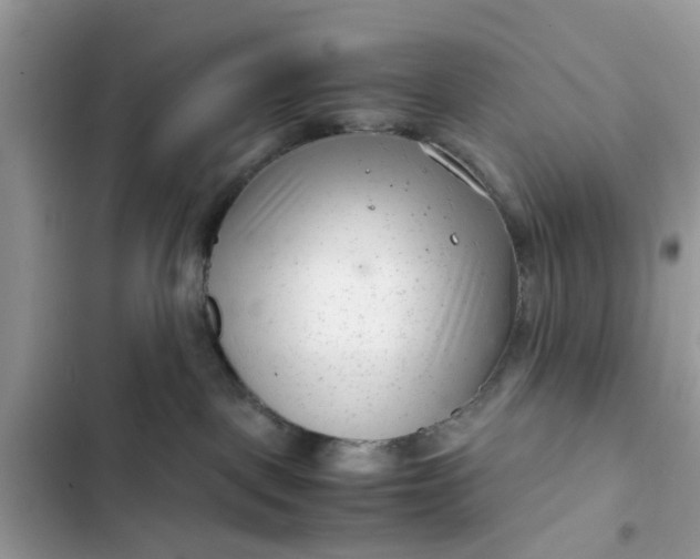 X0000102340093200808151738