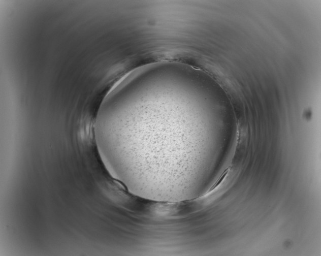 X0000102340094200808151738