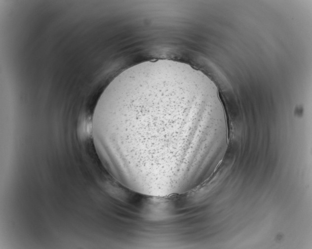 X0000102340095200808151738