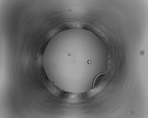 X0000102340096200808151738