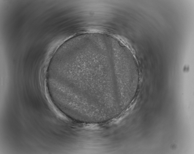 X0000102340097200808151737