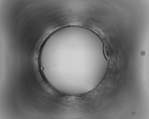 X0000102340098200808151737