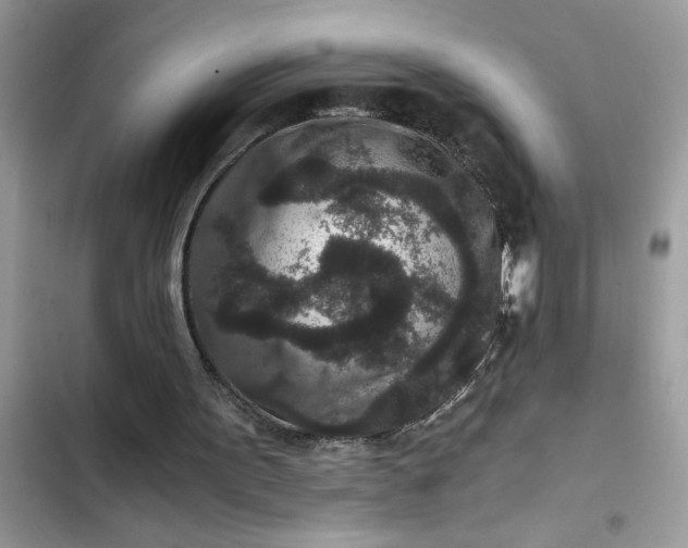 X0000102340099200808151737