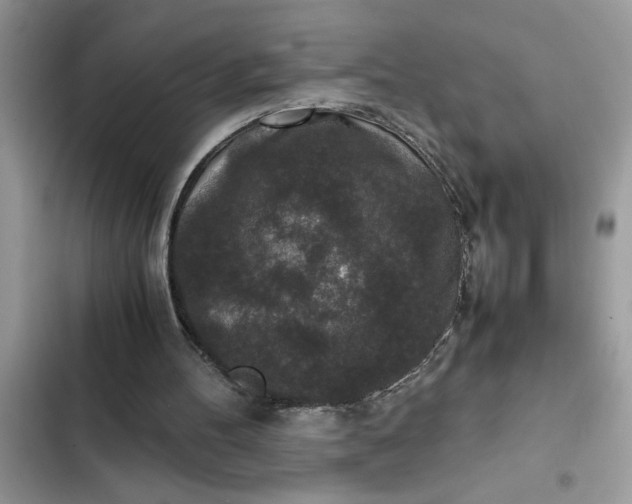 X0000102340100200808151737