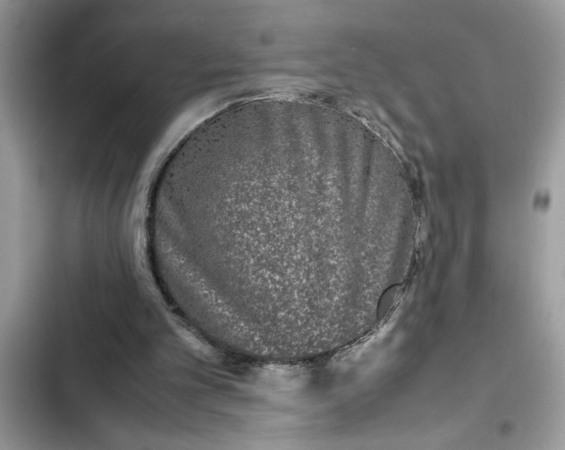 X0000102340101200808151737