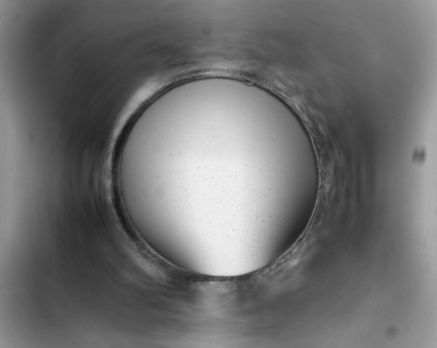 X0000102340102200808151737