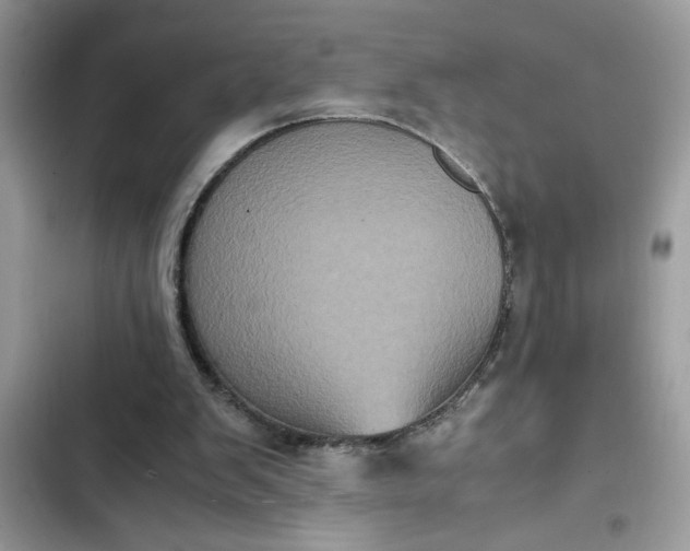 X0000102340103200808151737