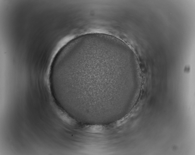 X0000102340104200808151737