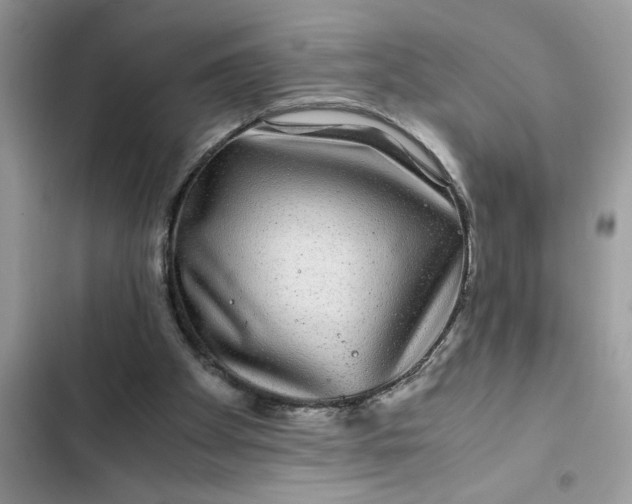 X0000102340105200808151737