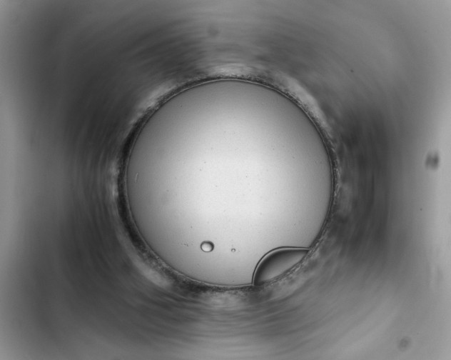 X0000102340106200808151737