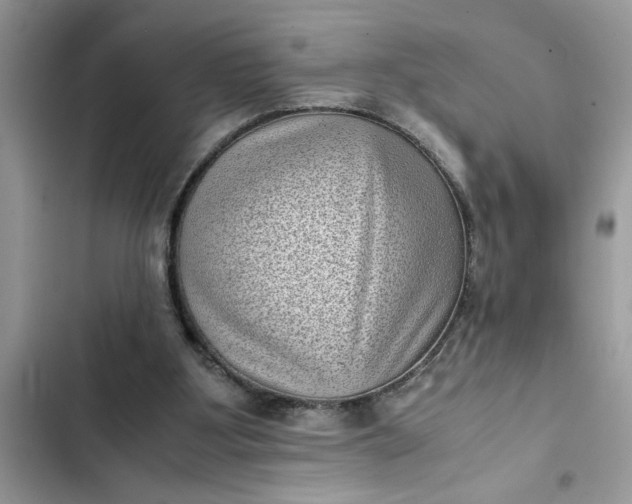 X0000102340107200808151737