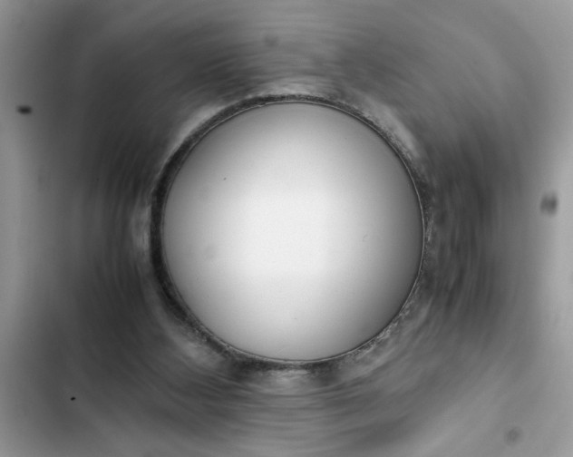 X0000102340108200808151737