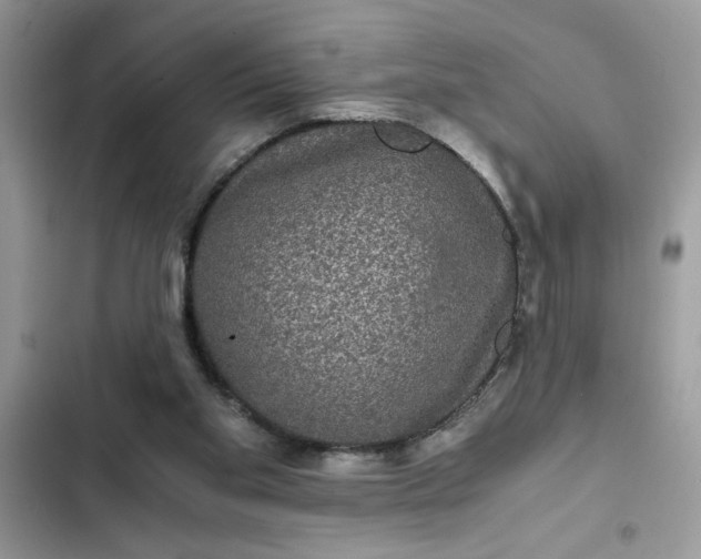 X0000102340109200808151737