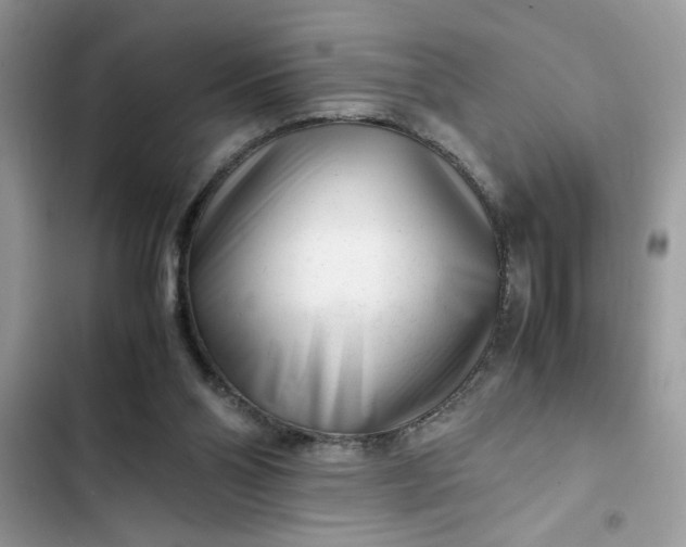 X0000102340110200808151737