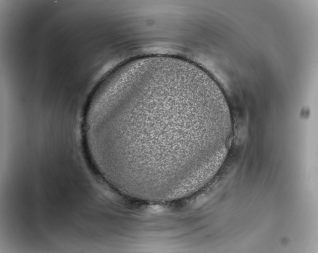 X0000102340111200808151737