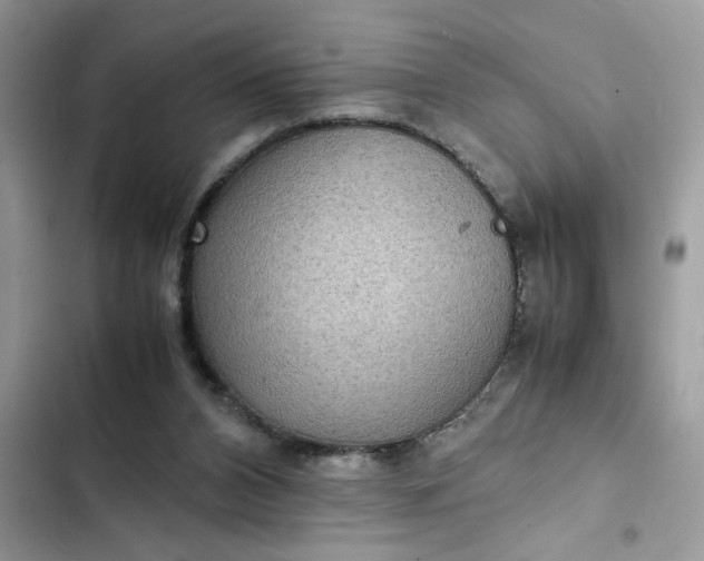 X0000102340112200808151737