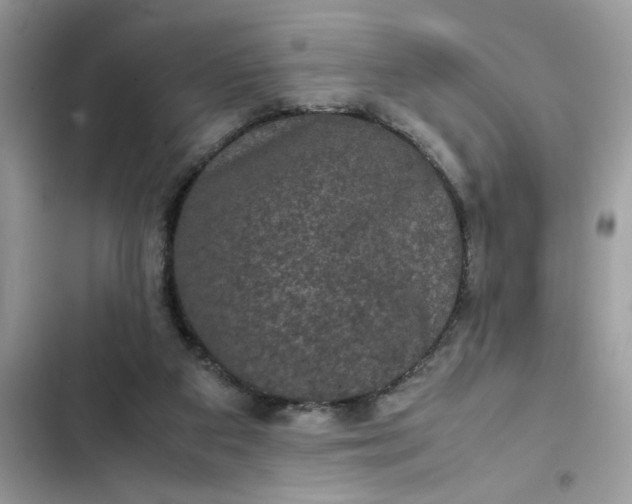 X0000102340113200808151737