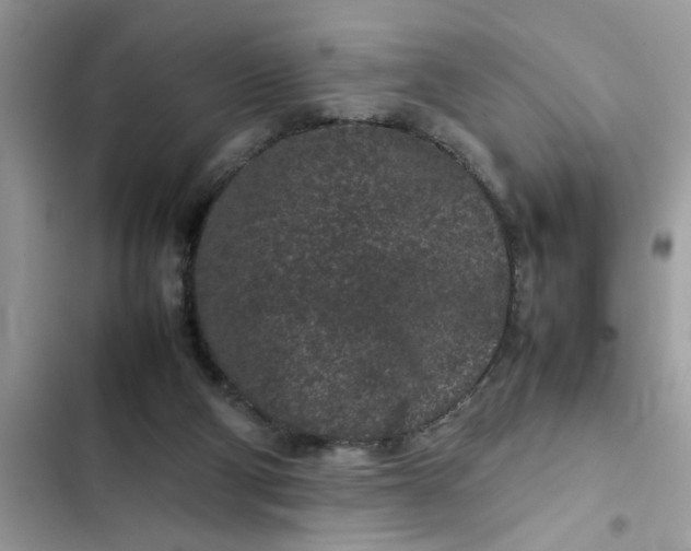 X0000102340114200808151737