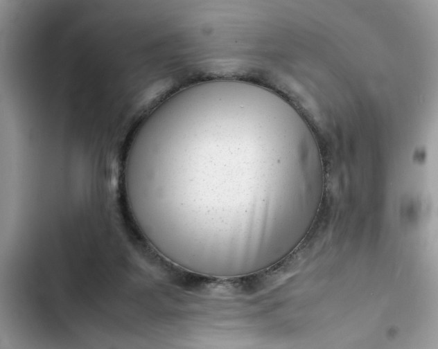 X0000102340115200808151737