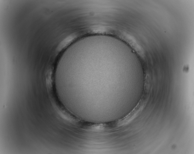 X0000102340116200808151737