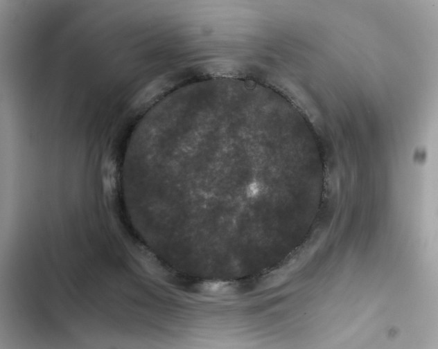 X0000102340117200808151737