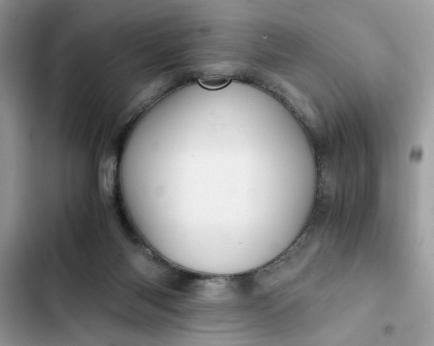 X0000102340118200808151737