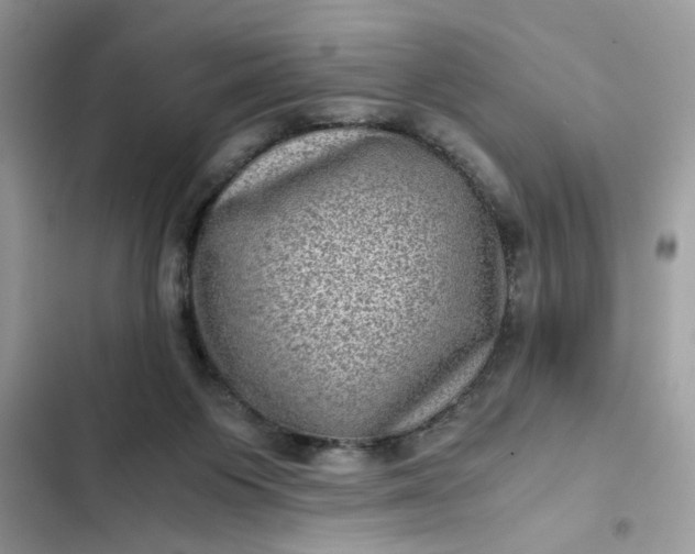 X0000102340119200808151737