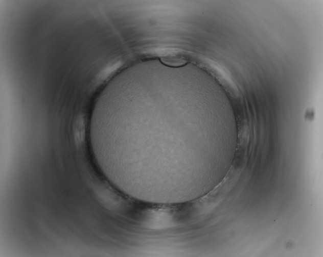 X0000102340120200808151737