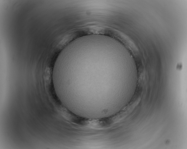 X0000102340121200808151737