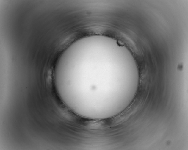 X0000102340122200808151737