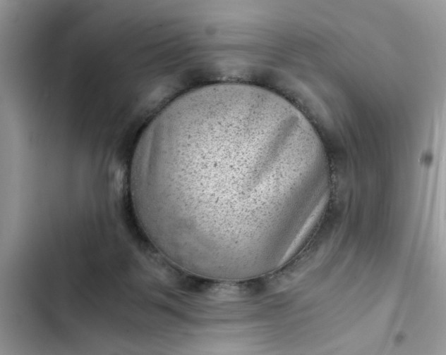 X0000102340123200808151737