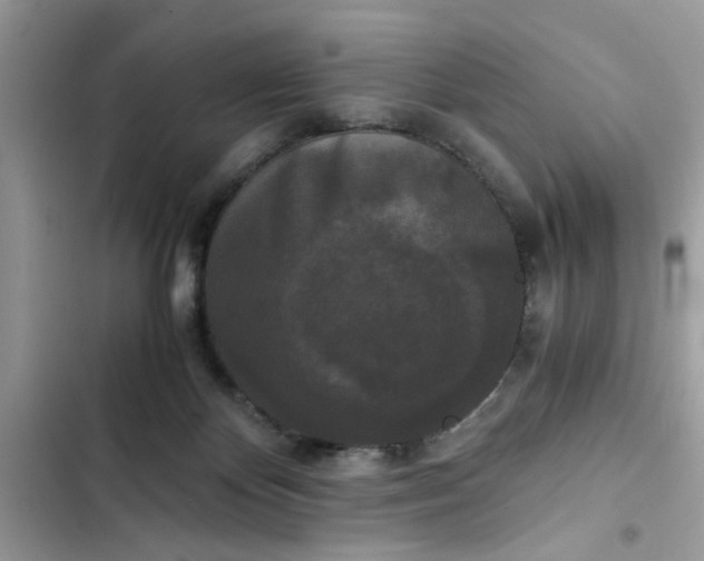 X0000102340124200808151737