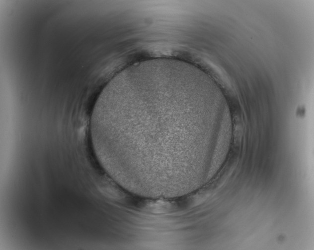 X0000102340125200808151737