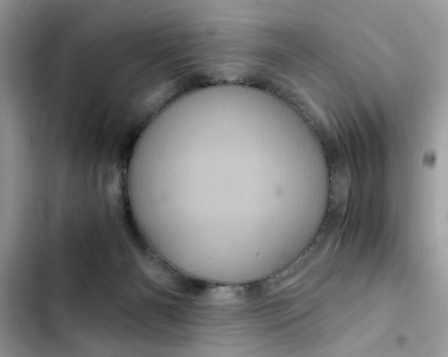 X0000102340126200808151737