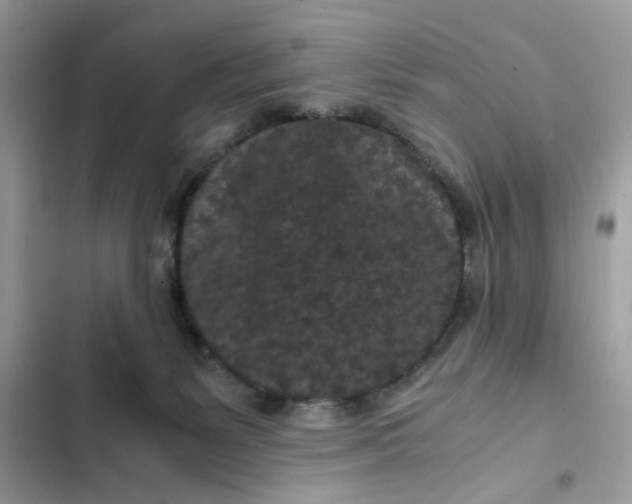 X0000102340127200808151737