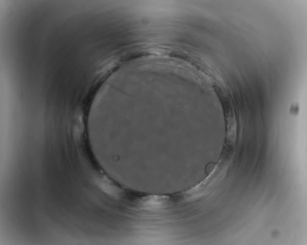 X0000102340128200808151737