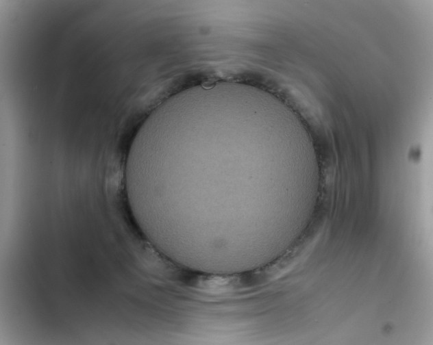 X0000102340129200808151737