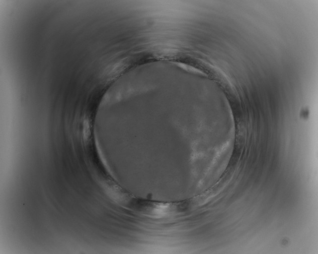 X0000102340130200808151737