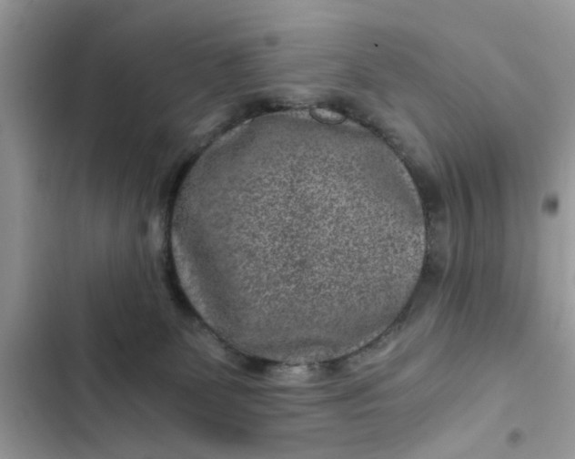 X0000102340131200808151737