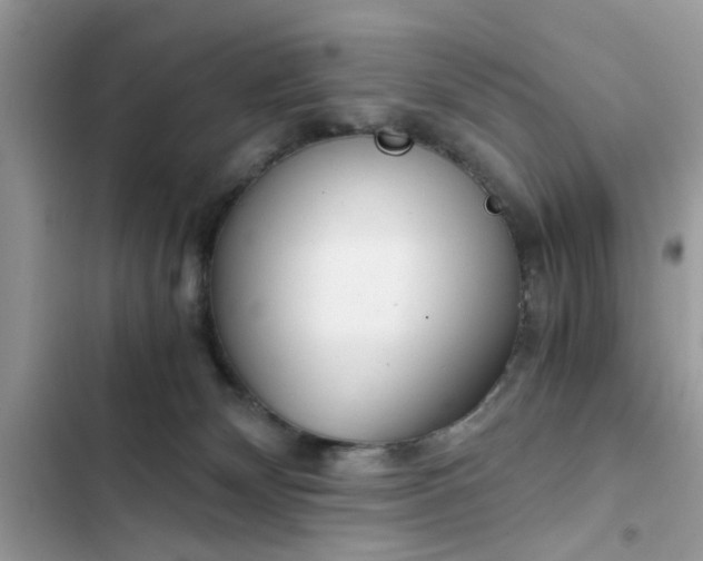 X0000102340132200808151737