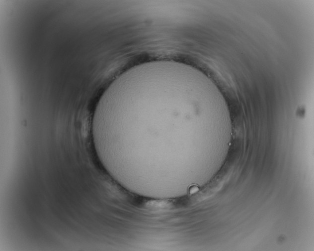 X0000102340133200808151737