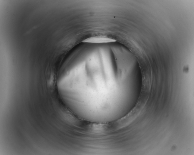 X0000102340134200808151736