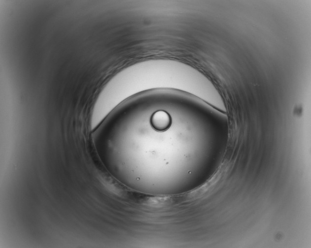 X0000102340136200808151736