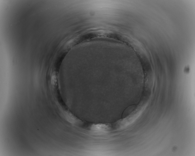 X0000102340137200808151736