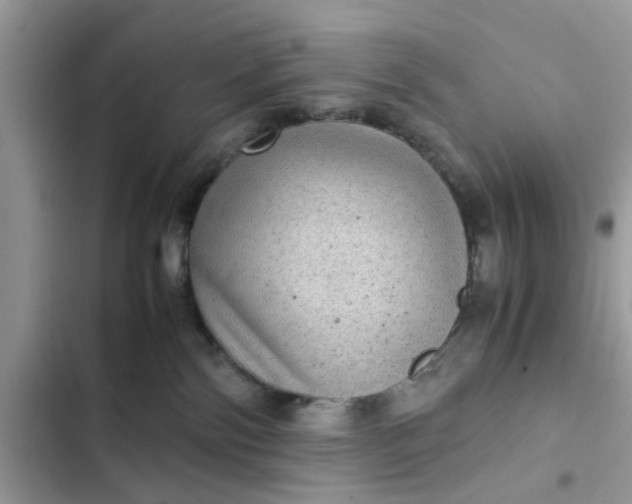 X0000102340138200808151736