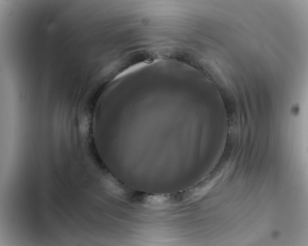 X0000102340139200808151736