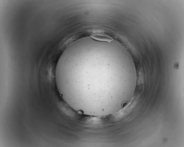 X0000102340140200808151736