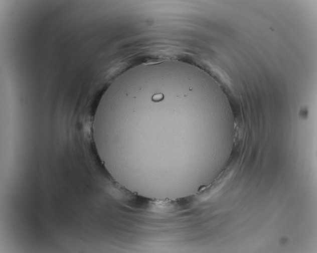 X0000102340141200808151736